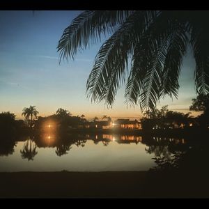 Meet your Posher, Ava